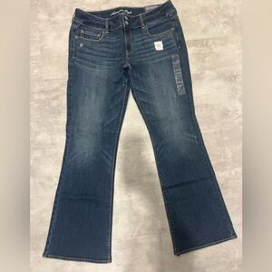 NWT American Eagle Outfitters “Artist” Dark Wash Jean